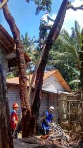 IMG-20190226-WA0045
