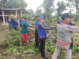IMG-20190306-WA0028