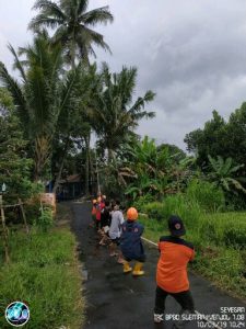 IMG-20190310-WA0016-384x512