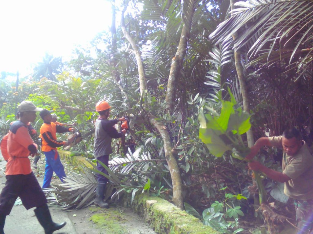 IMG-20190310-WA0039