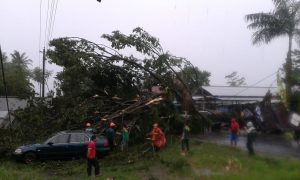 IMG-20190313-WA0063