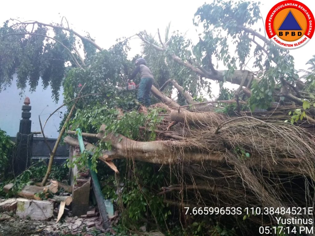 IMG-20190313-WA0200