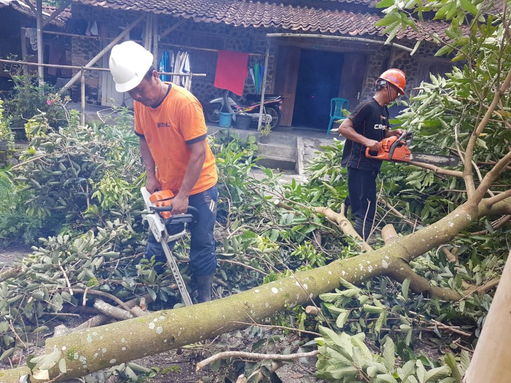 IMG-20190317-WA0057