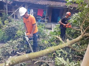 IMG-20190317-WA0057