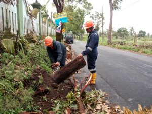 IMG-20190319-WA0087