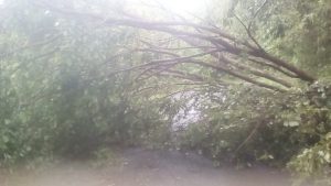 IMG-20190324-WA0002