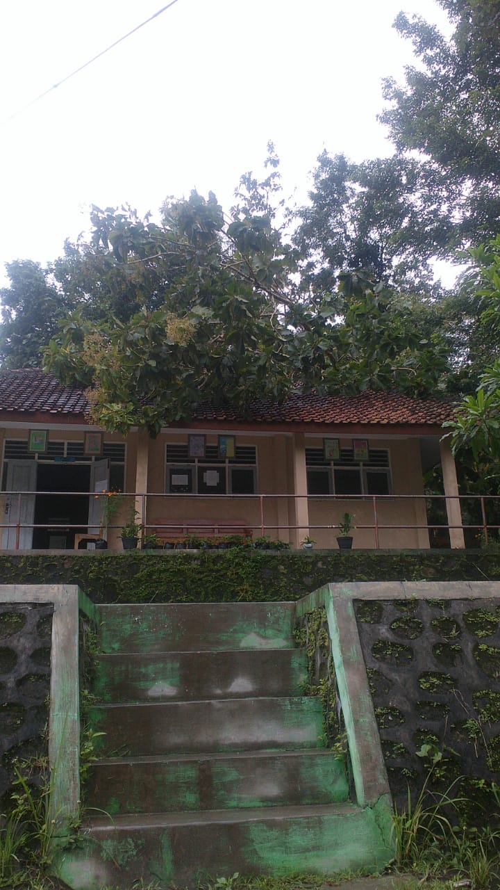 IMG-20190325-WA0001