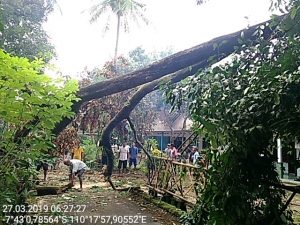 IMG-20190327-WA0024