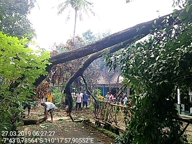 IMG-20190327-WA0024