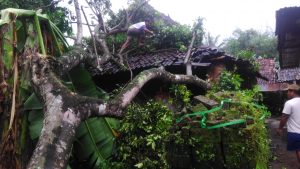 IMG-20190404-WA0055