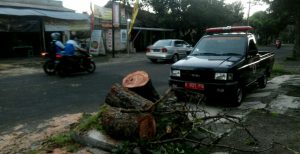 IMG-20190415-WA0012_1