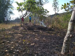 IMG-20190710-WA0005