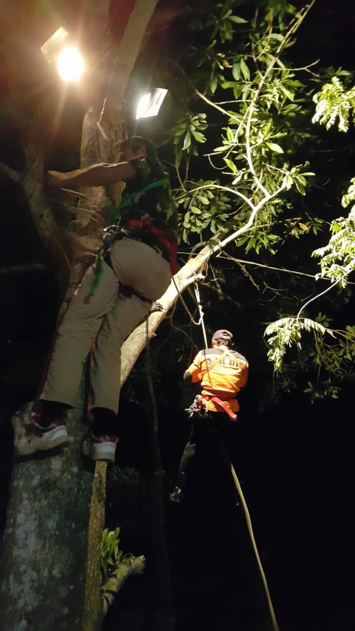 IMG-20190809-WA0001