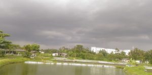 awan cb 2019