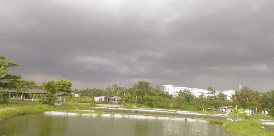 awan cb 2019