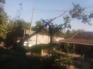 IMG-20191011-WA0025
