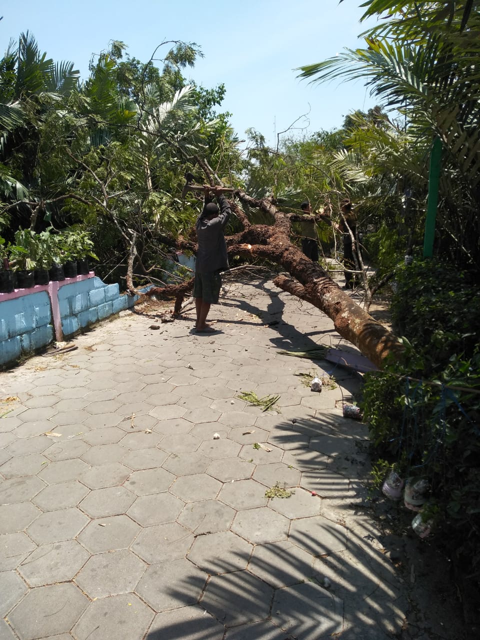 IMG-20191021-WA0016