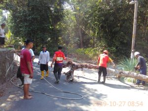 IMG-20191028-WA0007