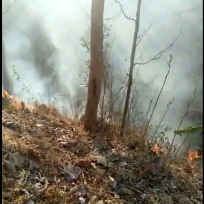 IMG_20191020_174516