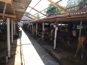 IMG-20191118-WA0036