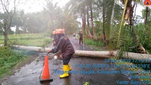 IMG-20191124-WA0026