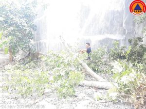 IMG-20191124-WA0046
