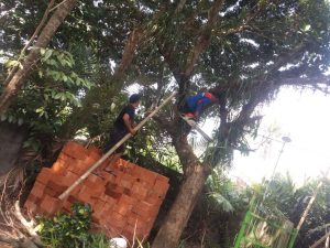 IMG-20191128-WA0041