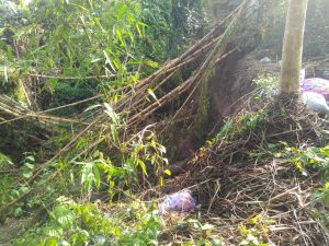 IMG-20191129-WA0164