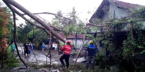 IMG-20191209-WA0090