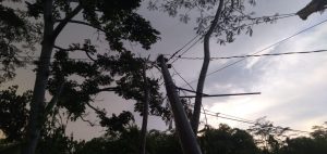 IMG-20191218-WA0132