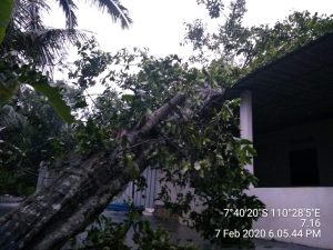 IMG-20200207-WA0263