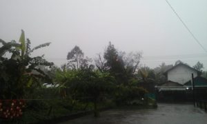 IMG-20200211-WA0000