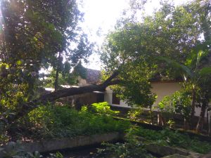 IMG-20200215-WA0011