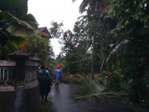 IMG-20200225-WA0001