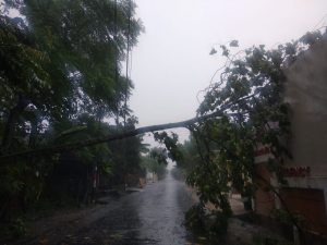 IMG-20200301-WA0284