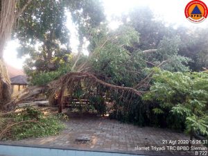 IMG-20200821-WA0055