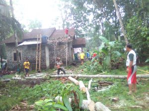 IMG-20201119-WA0065