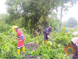 IMG-20201121-WA0129