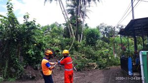 IMG_20201124_095718_compress71