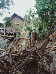 IMG-20201207-WA0104