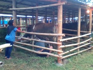IMG-20201210-WA0010