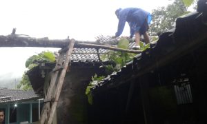 IMG-20201212-WA0003