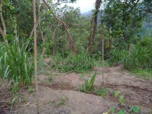 IMG-20210204-WA0043