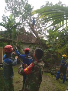 IMG-20210207-WA0016