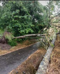 IMG-20210215-WA0071