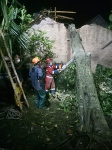 IMG-20210226-WA0141