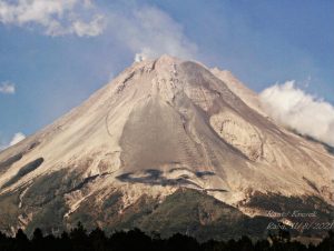 IMG-20210817-WA0084