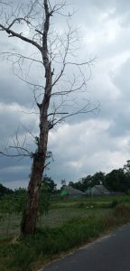IMG_20210814_150524