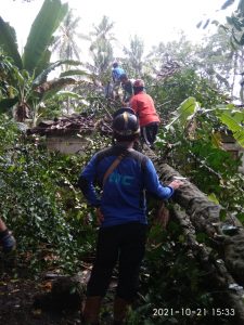 IMG-20211021-WA0078