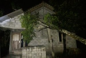 IMG_20211023_115454